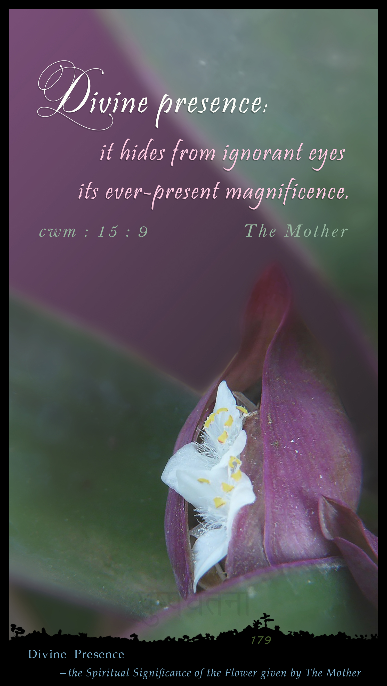 Divine  Presence